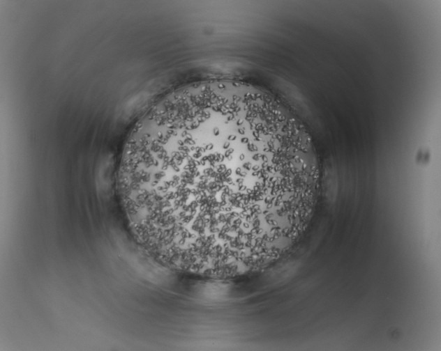 X0000113620318200910091538