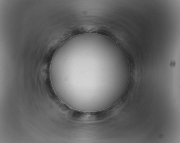 X0000113620319200910091538