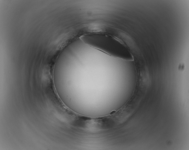 X0000113620320200910091537