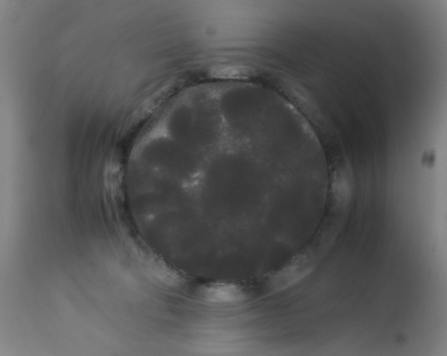 X0000113620322200910091537