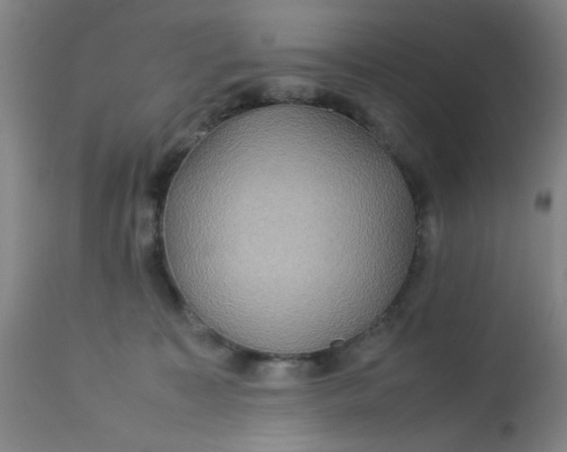 X0000113620323200910091537