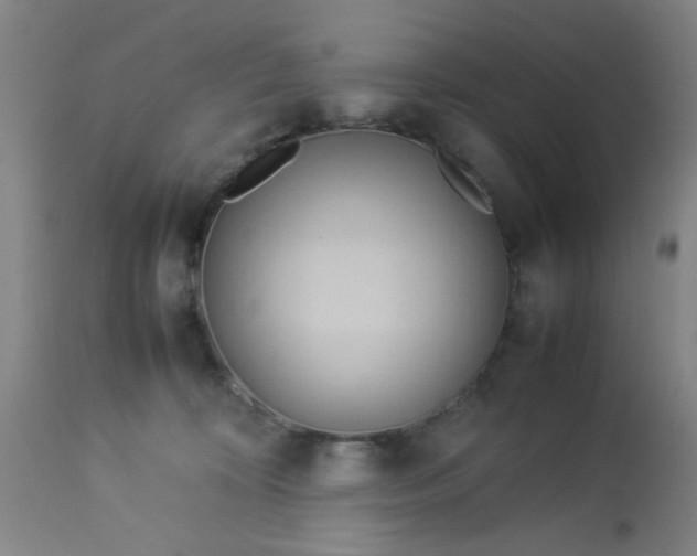 X0000113620324200910091537