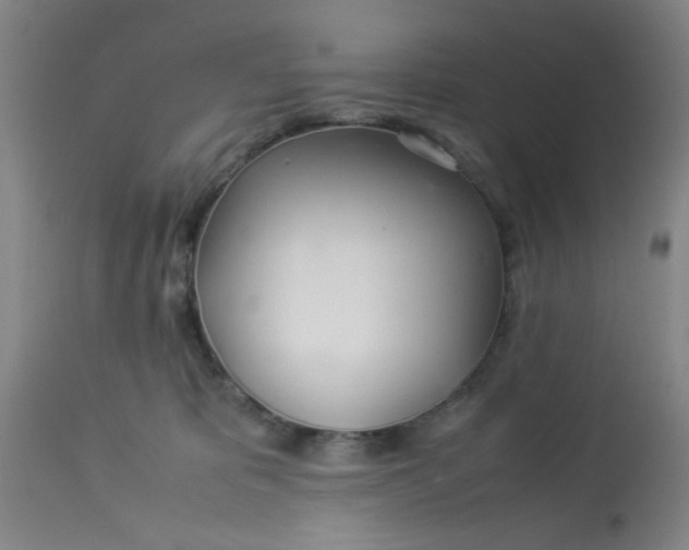 X0000113620325200910091537