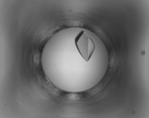X0000113620326200910091537