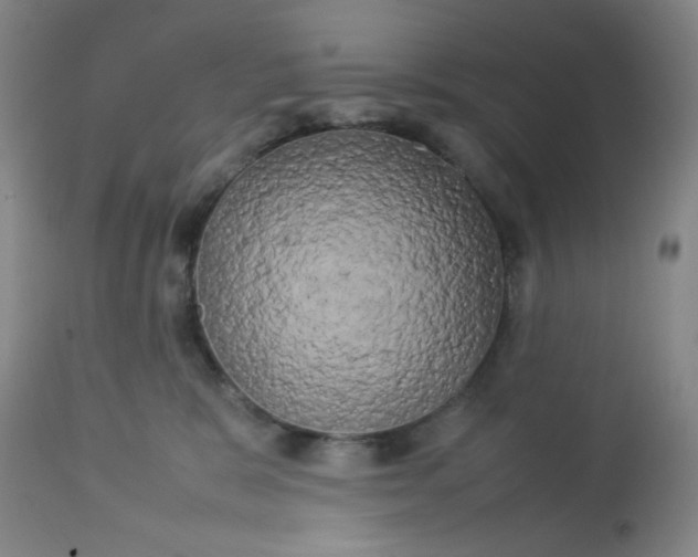 X0000113620327200910091537