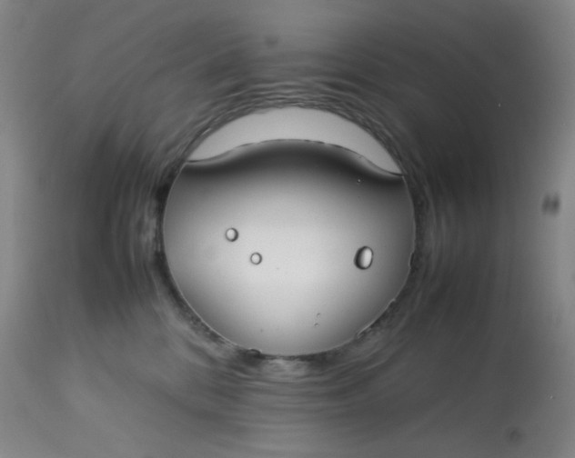 X0000113620328200910091537