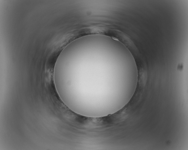 X0000113620329200910091537