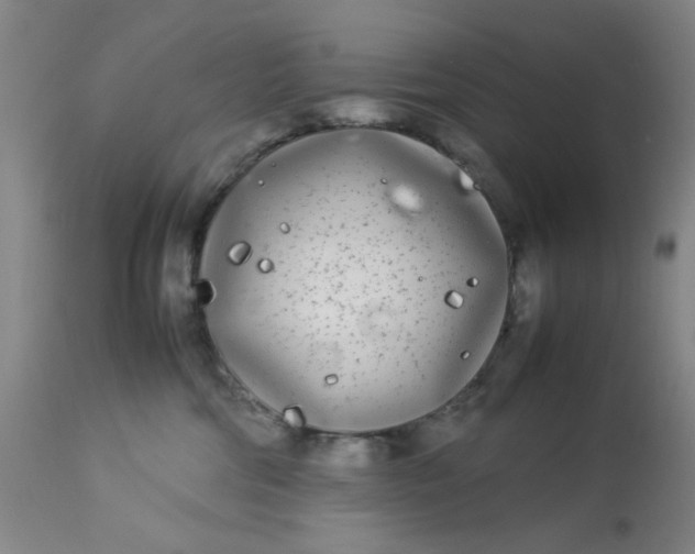 X0000113620330200910091537