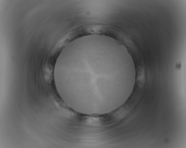 X0000113620332200910091537