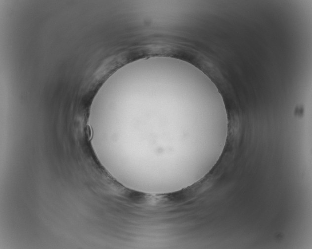 X0000113620333200910091537