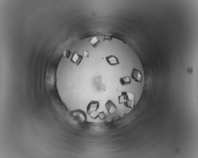 X0000113620334200910091537