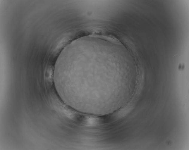X0000113620336200910091537