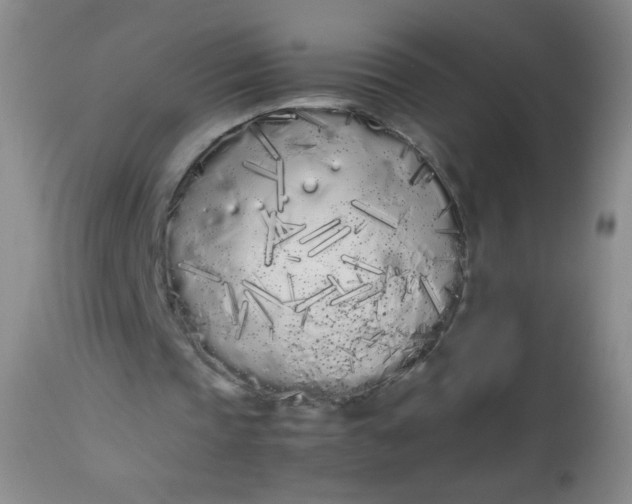 X0000113620337200910091536