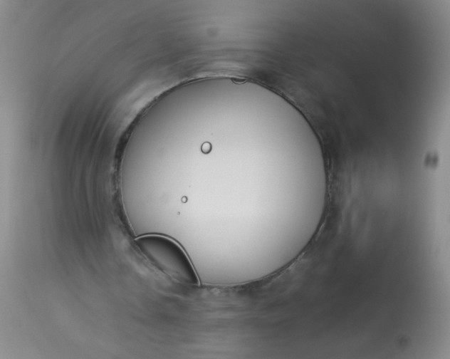 X0000113620338200910091536