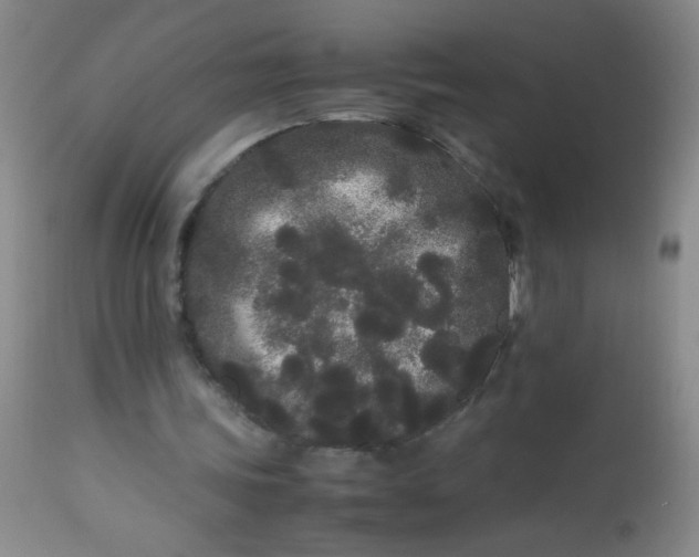 X0000113620339200910091536