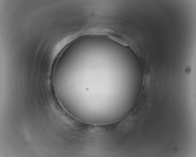 X0000113620340200910091536