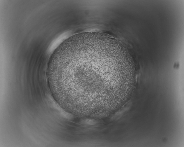 X0000113620341200910091536
