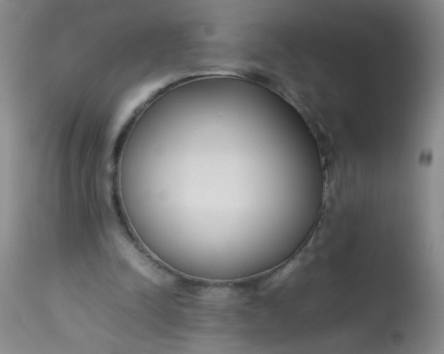 X0000113620342200910091537