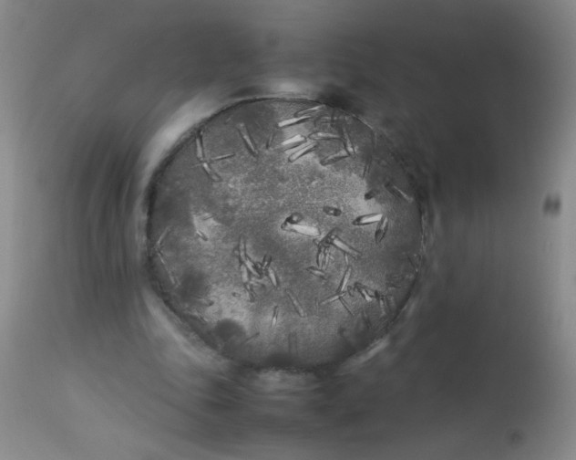 X0000113620343200910091537