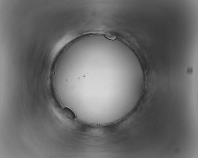 X0000113620344200910091537