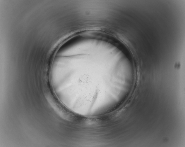 X0000113620346200910091537
