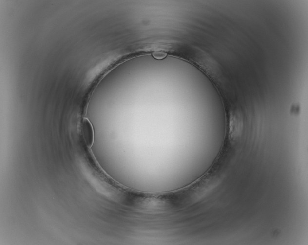 X0000113620348200910091537