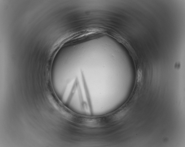 X0000113620349200910091537