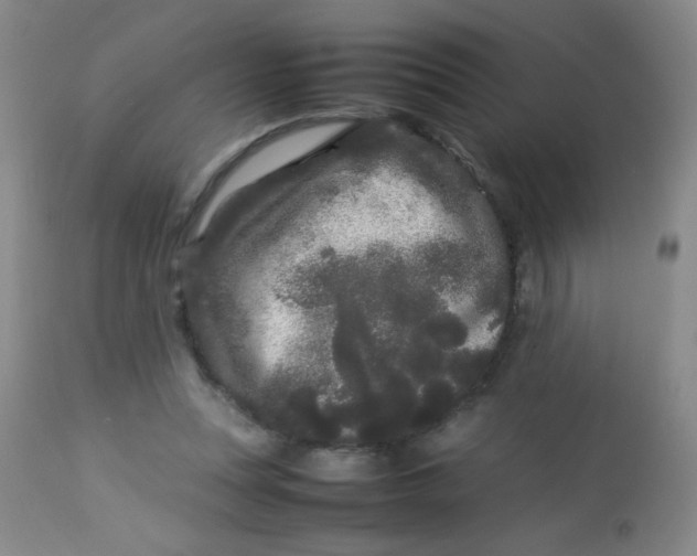 X0000113620351200910091537