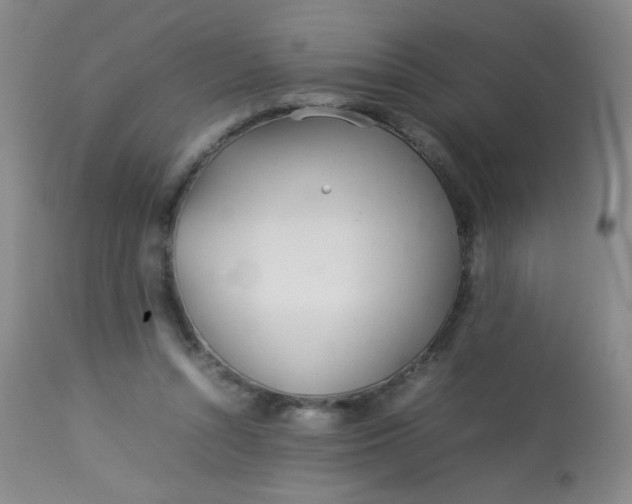 X0000113620352200910091537