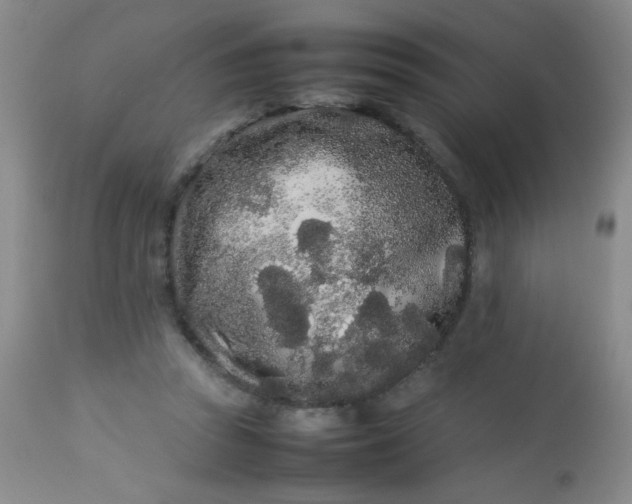 X0000113620353200910091537