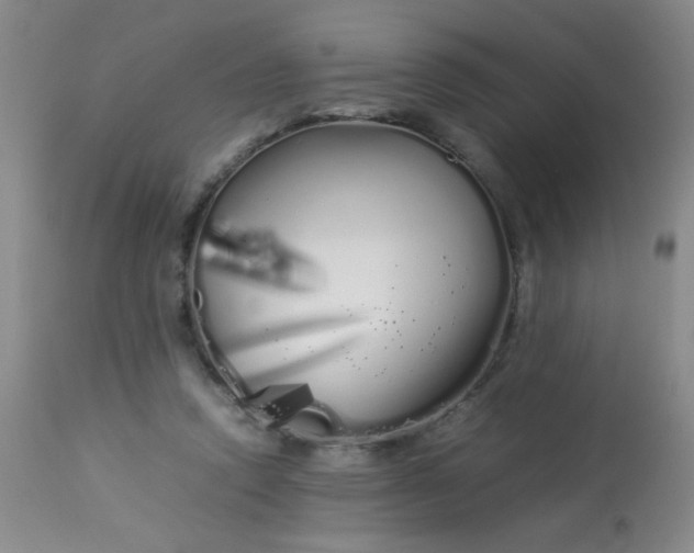 X0000113620354200910091537