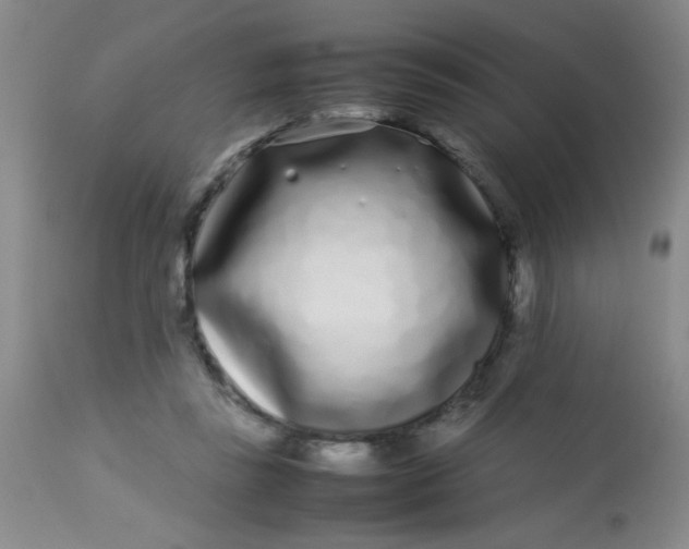 X0000113620355200910091537