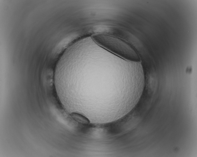 X0000113620356200910091537