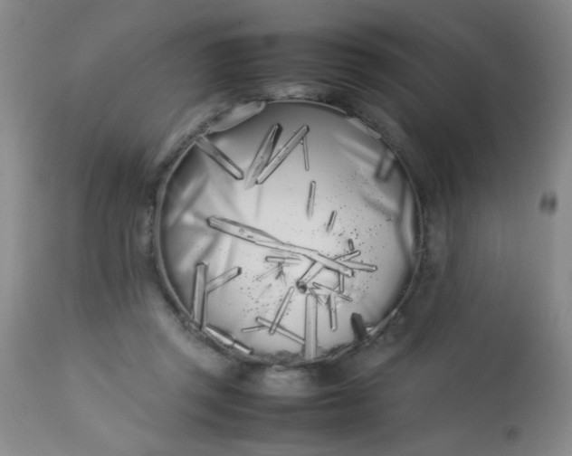 X0000113620357200910091537