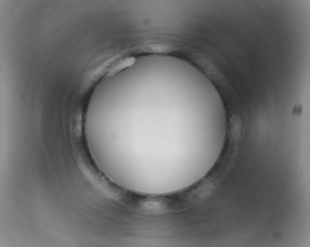 X0000113620358200910091537