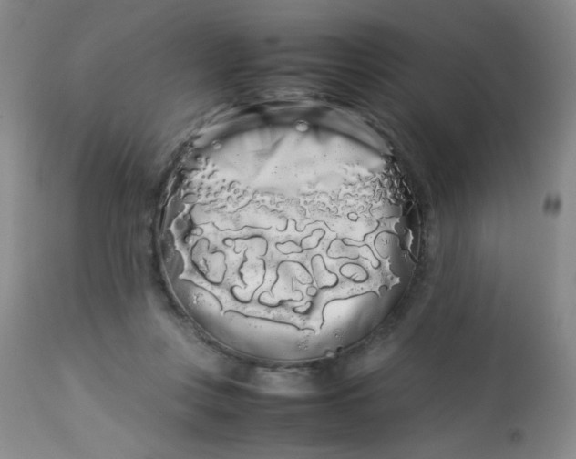 X0000113620359200910091537