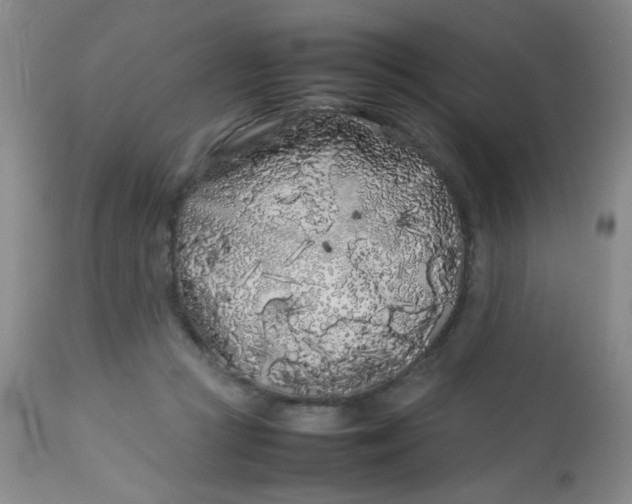 X0000113620361200910091537