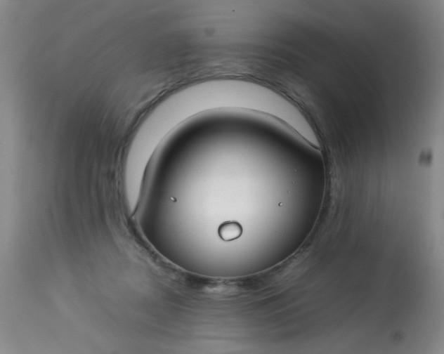 X0000113620362200910091537