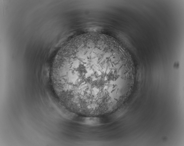 X0000113620363200910091537