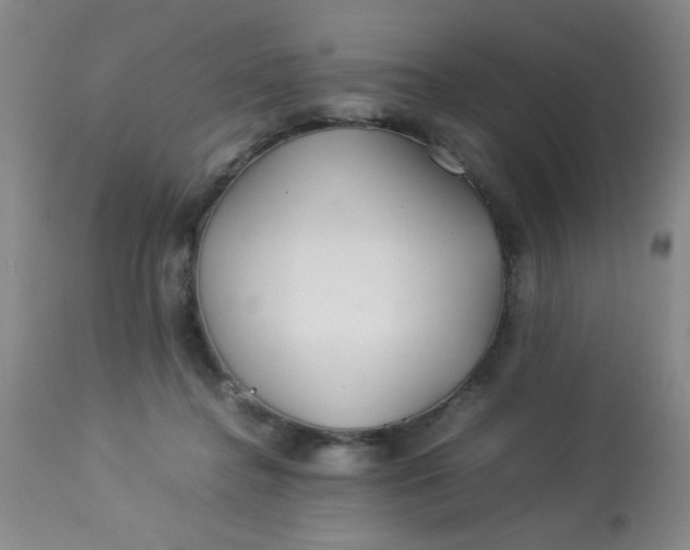 X0000113620364200910091537