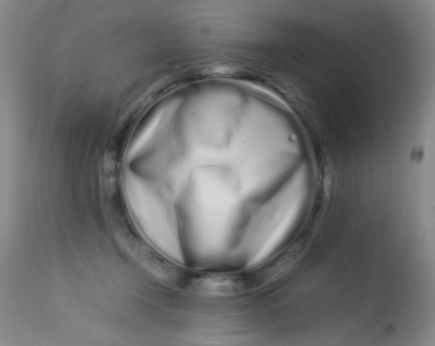 X0000113620366200910091537