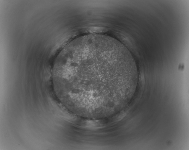 X0000113620367200910091537