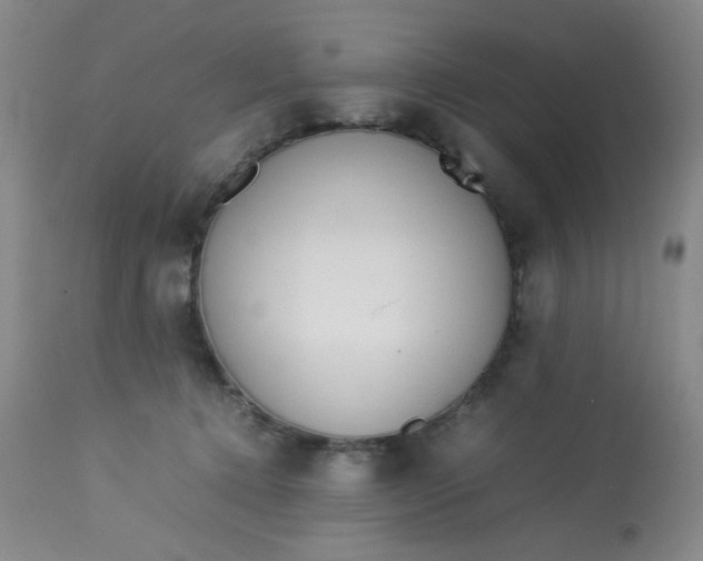 X0000113620368200910091537
