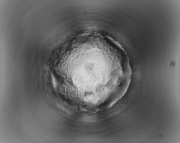 X0000113620369200910091537