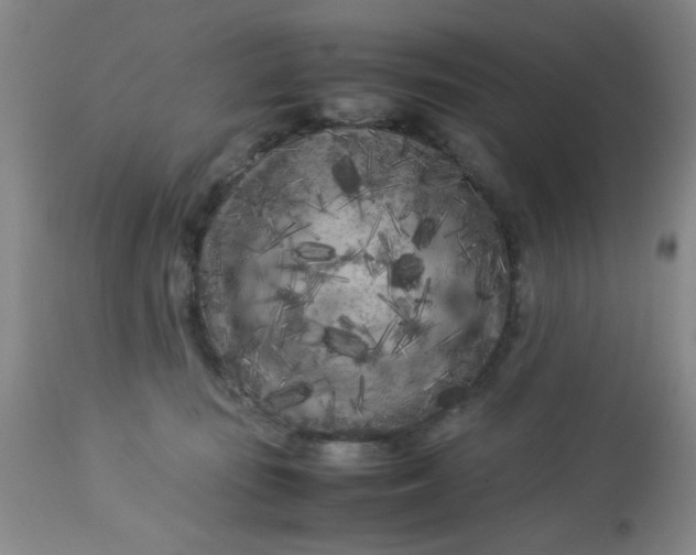 X0000113620371200910091537