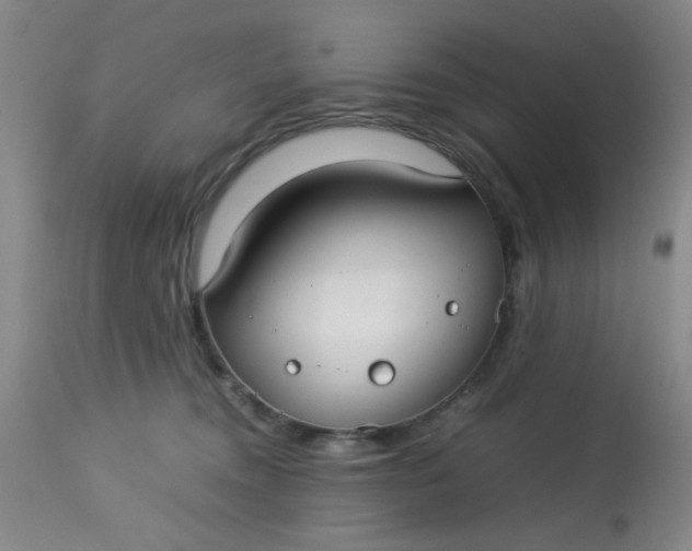 X0000113620372200910091537