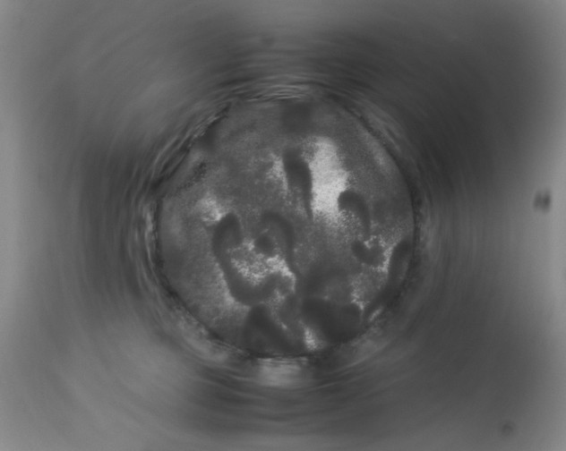 X0000113620373200910091537
