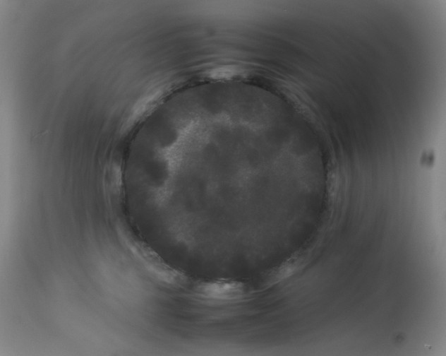 X0000113620375200910091537