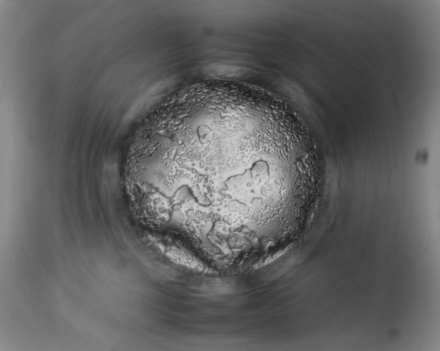 X0000113620377200910091537