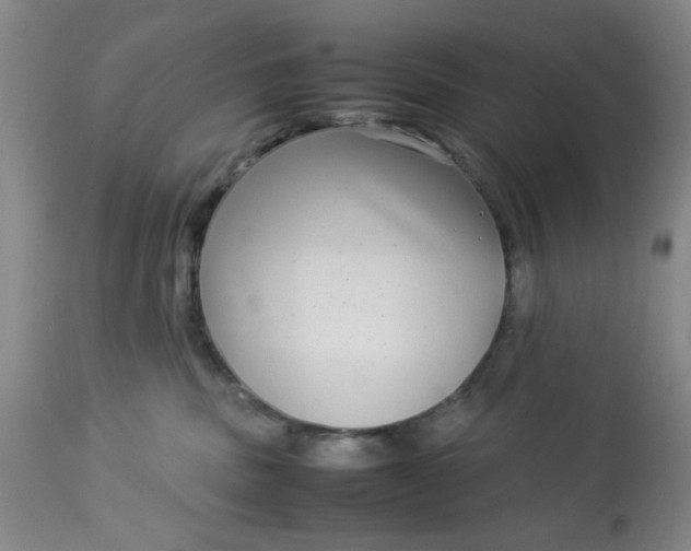 X0000113620379200910091537
